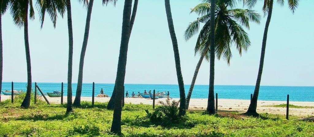 Cocoville Passikudah Bagian luar foto