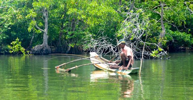 Cocoville Passikudah Bagian luar foto