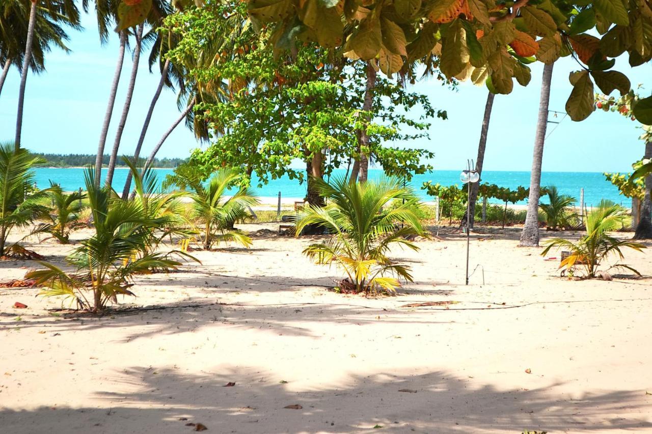 Cocoville Passikudah Bagian luar foto